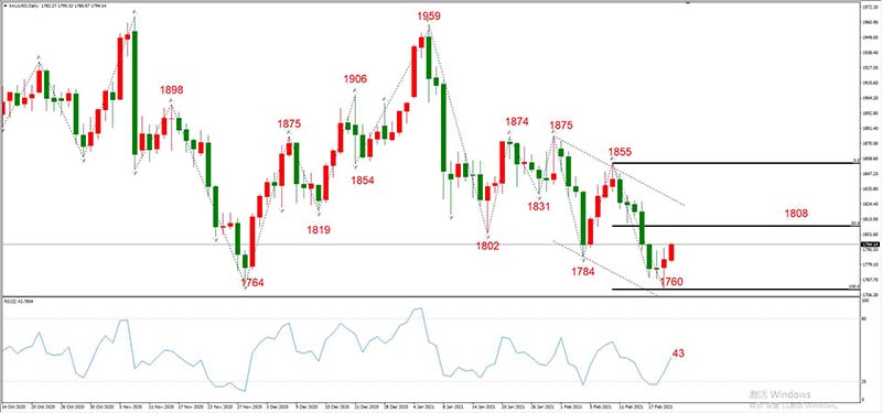 XAUUSD 02月22日 日线级别