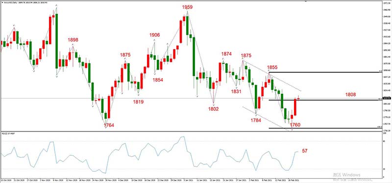 XAUUSD 02月23日 日线级别