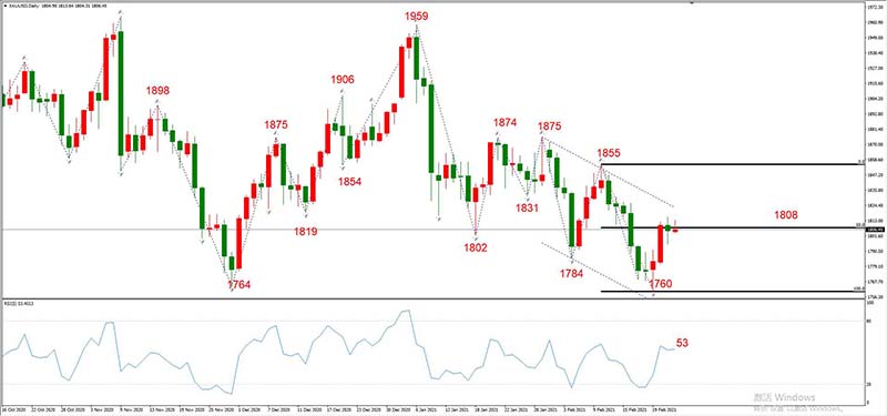 XAUUSD 02月24日 日线级别